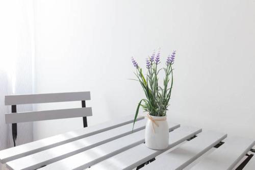 Domus Merulana Bed And Breakfast โรม ภายนอก รูปภาพ
